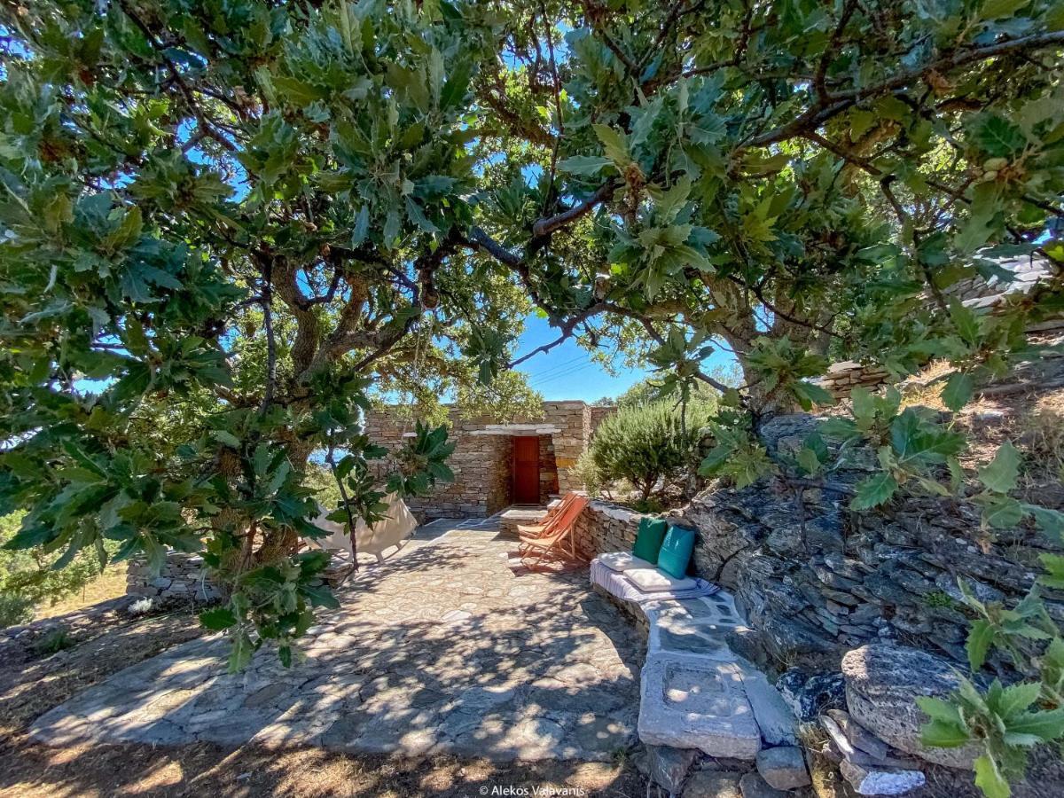 Under Royal Oaks Villa Pera Meria Eksteriør bilde