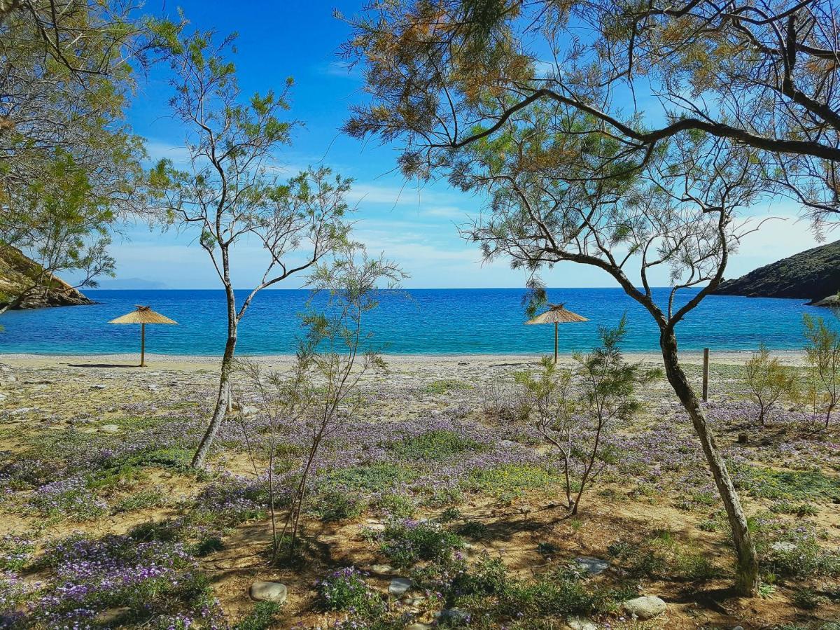 Under Royal Oaks Villa Pera Meria Eksteriør bilde