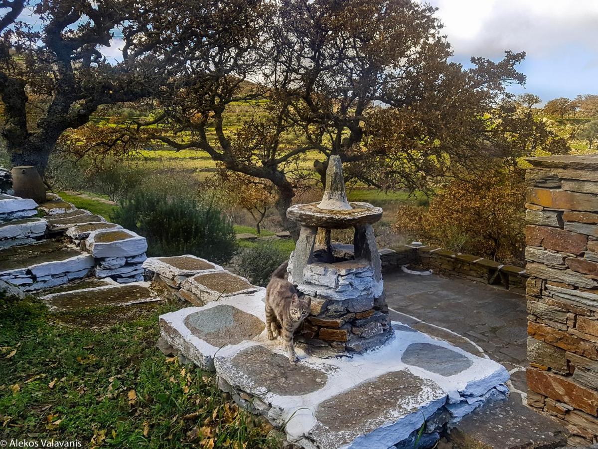 Under Royal Oaks Villa Pera Meria Eksteriør bilde