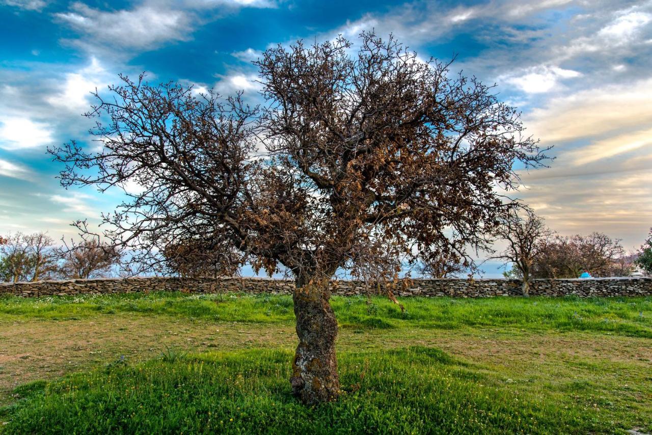 Under Royal Oaks Villa Pera Meria Eksteriør bilde