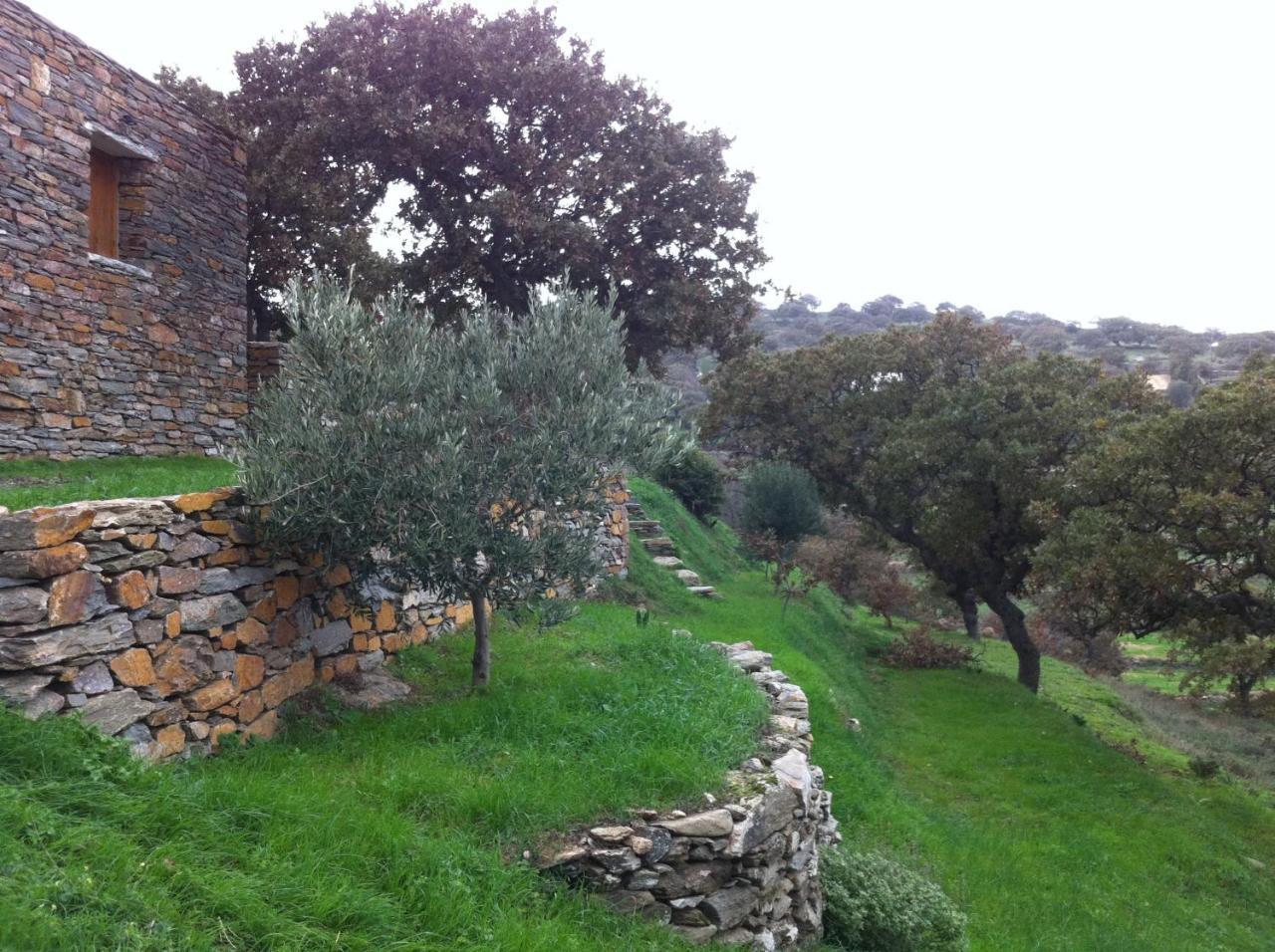 Under Royal Oaks Villa Pera Meria Eksteriør bilde